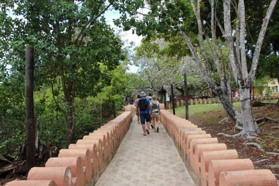 Zanzibar: Prison island- Turtoise & spice farm - Why This Tour Is Worth Considering