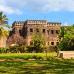 Zanzibar: Private Stone Town & Prison Island Tour - What’s Included and Practicalities