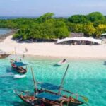 Zanzibar: Private Tour with Prison Island and Spice Farm - Prison Island: Giant Tortoises and Snorkeling