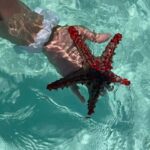 Zanzibar: Pungume Island Snorkeling & Sandbank with Lunch - Relaxing on the Sandbank