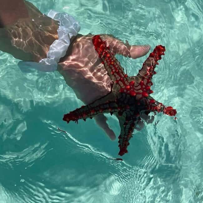 Zanzibar: Pungume Island Snorkeling & Sandbank with Lunch - Relaxing on the Sandbank