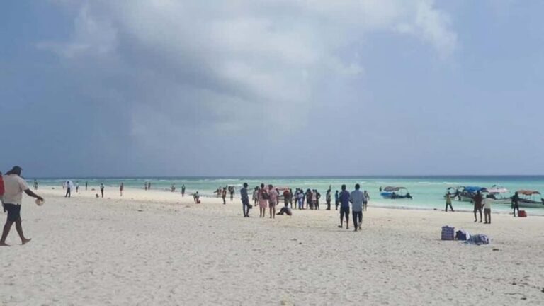 Zanzibar: Pungume Island tour and snorkeling with BBQ Lunch - What’s Included & What to Keep in Mind