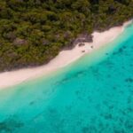 Zanzibar: Pungume Sandbank Sailboat Tour with BBQ Lunch - What to Expect on the Tour
