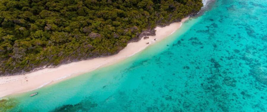 Zanzibar: Pungume Sandbank Sailboat Tour with BBQ Lunch - What to Expect on the Tour