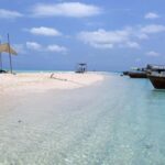 Zanzibar: Safari Blue Adventure Day Trip - What’s Included and What to Consider