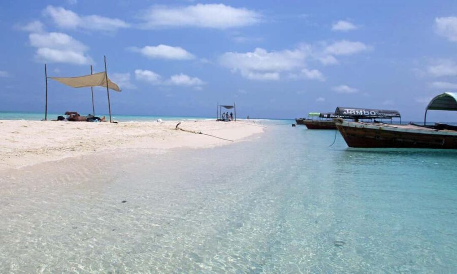 Zanzibar: Safari Blue Adventure Day Trip - What’s Included and What to Consider
