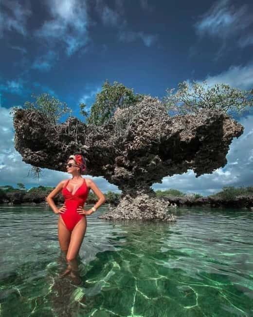 Zanzibar: safari blue adventure - Practical Tips for Making the Most of Safari Blue