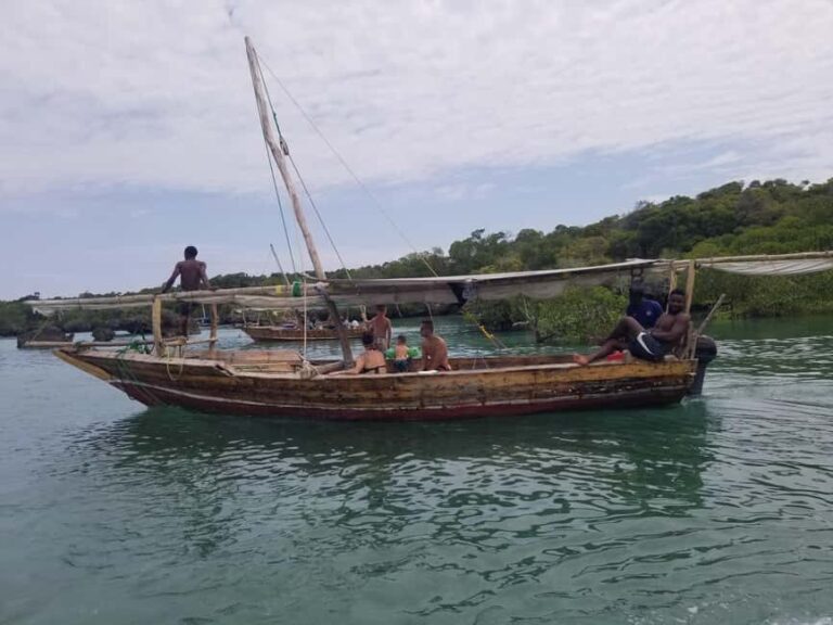 Zanzibar: Safari Blue Day Tour Snorkeling With BBQ Lunch - What’s Included and What to Keep in Mind