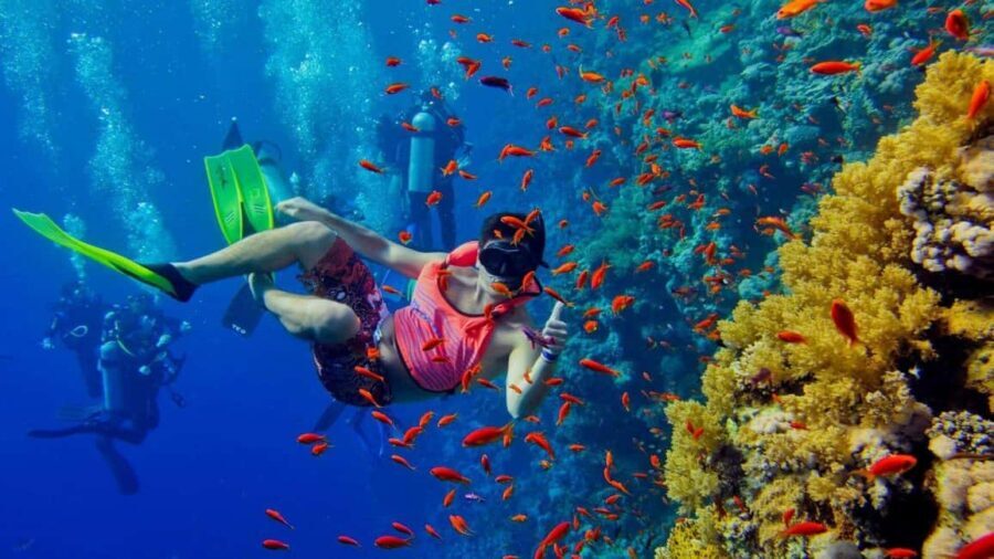 ZANZIBAR :Safari Blue full day private tour with BBQ lunch - What’s Included and What to Keep in Mind