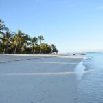 Zanzibar - Safari Blue private trip (full day) paradise - Final Thoughts
