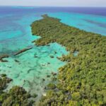 Zanzibar: Safari Blue Snorkeling and Sandbank - Dolphin Spotting and the First Stop: The Sandbank