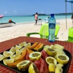Zanzibar: Safari Blue with Snorkeling and lunch - What’s Included & Practicalities