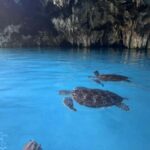 Zanzibar: Salaam Cave Swimming with Turtles Tour - FAQ