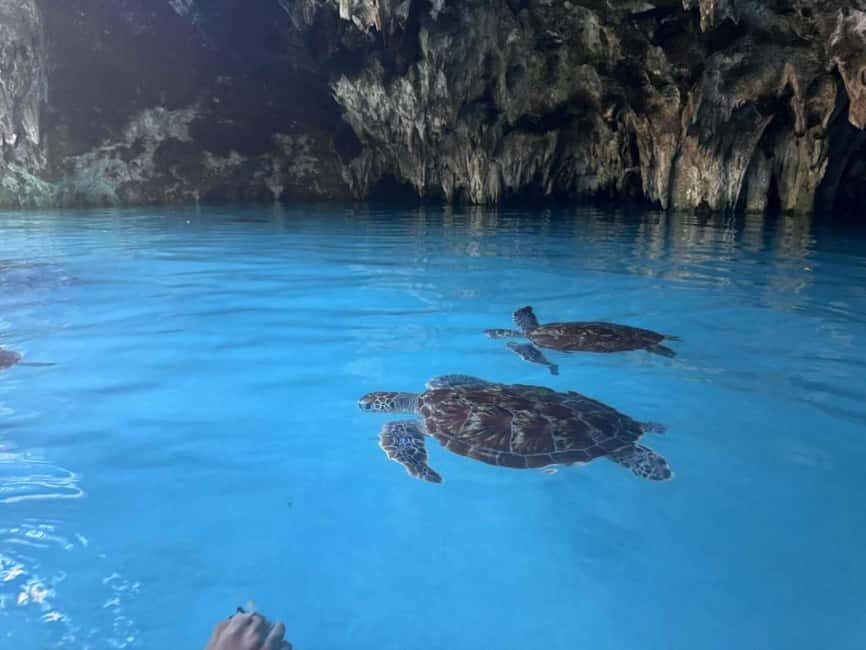 Zanzibar: Salaam Cave Swimming with Turtles Tour - FAQ