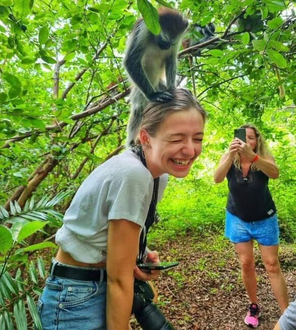 ZANZIBAR: Sea Turtles Salaam cave & Jozani Forest | half day - Final Thoughts