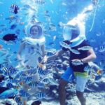 Zanzibar: Sea Walk Adventure and Sea Turtle Sanctuary Tour - Interaction with Sea Turtles and Conservation Learning