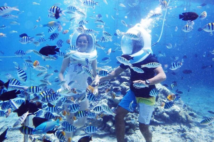 Zanzibar: Sea Walk Adventure and Sea Turtle Sanctuary Tour - Interaction with Sea Turtles and Conservation Learning