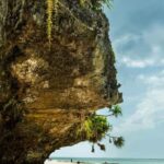 Zanzibar : Secret Beach, Kuza Cave and Jozani with transfer - Visiting Secret Beach: An Oasis of Calm