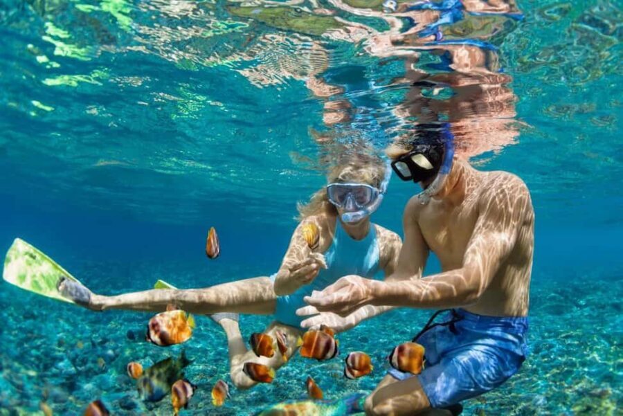 Zanzibar: Snorkeling at blue lagoon & Star fish tour - Why This Tour Offers Great Value