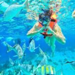 Zanzibar snorkeling +starfish and flowers garden corals - The Itinerary: What to Expect from Start to Finish