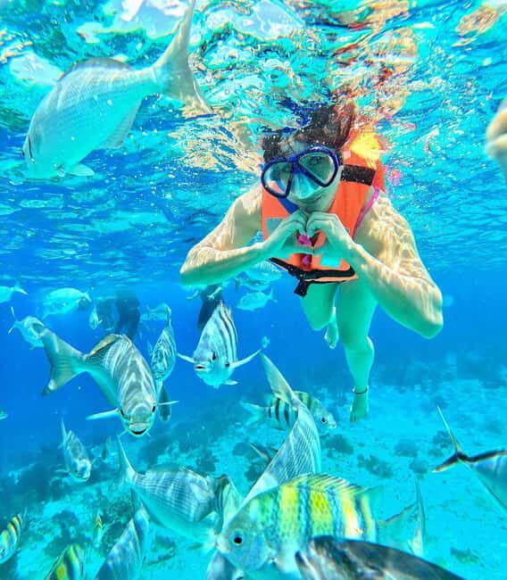Zanzibar snorkeling +starfish and flowers garden corals - The Itinerary: What to Expect from Start to Finish