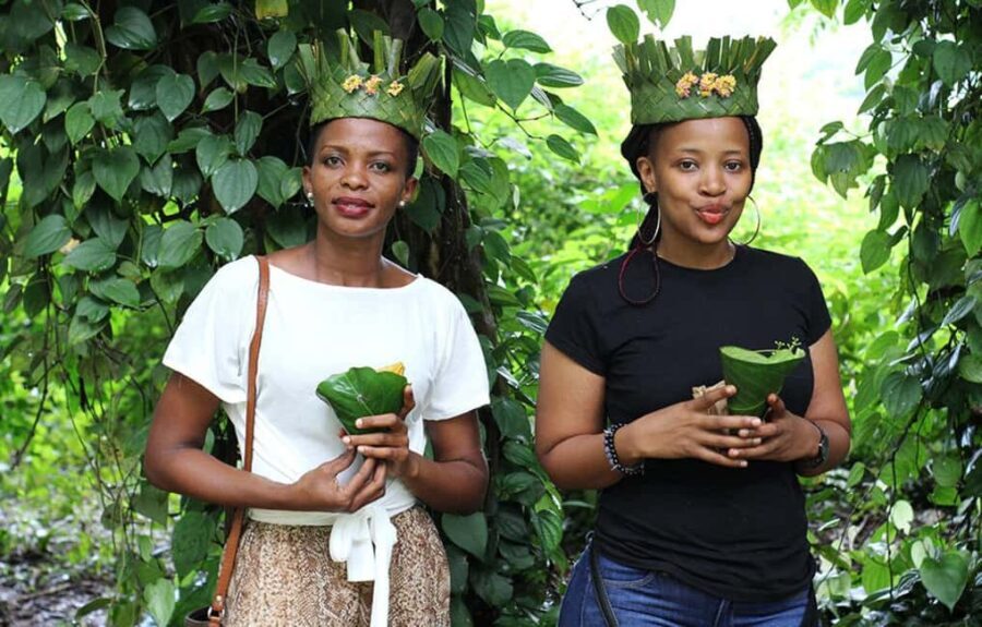 Zanzibar: Spice Farm, Butterfly Garden & Mtende Beach Tour - The Butterfly Garden: Colorful Encounters