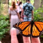 Zanzibar: Spice Farm, Butterfly Sanctuary, and Mangrove Tour - Why This Tour Offers Great Value