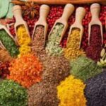 Zanzibar: Spice farm, prison island and stone town tour - Final Thoughts