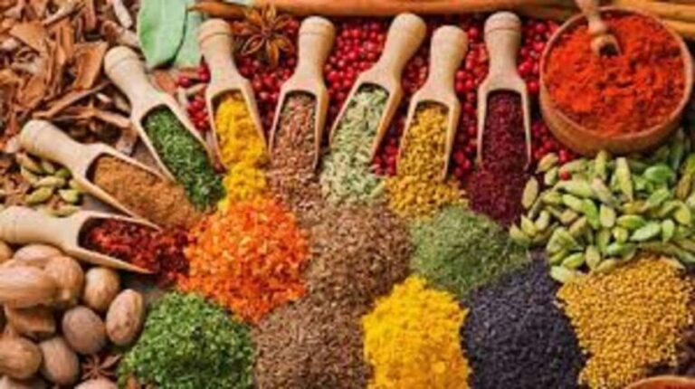 Zanzibar: Spice farm, prison island and stone town tour - Final Thoughts
