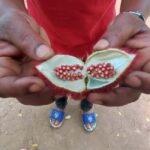 Zanzibar: Spice Farm Tour and Prison Island with Boat Ride - A Complete Look at the Tour Experience