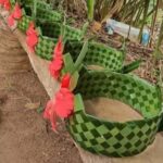 Zanzibar: Spice Farm Tour with Cooking Lesson | Half day - The Cooking Class: From Farm to Plate
