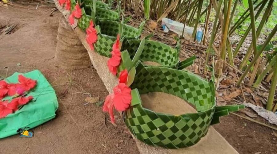 Zanzibar: Spice Farm Tour with Cooking Lesson | Half day - The Cooking Class: From Farm to Plate