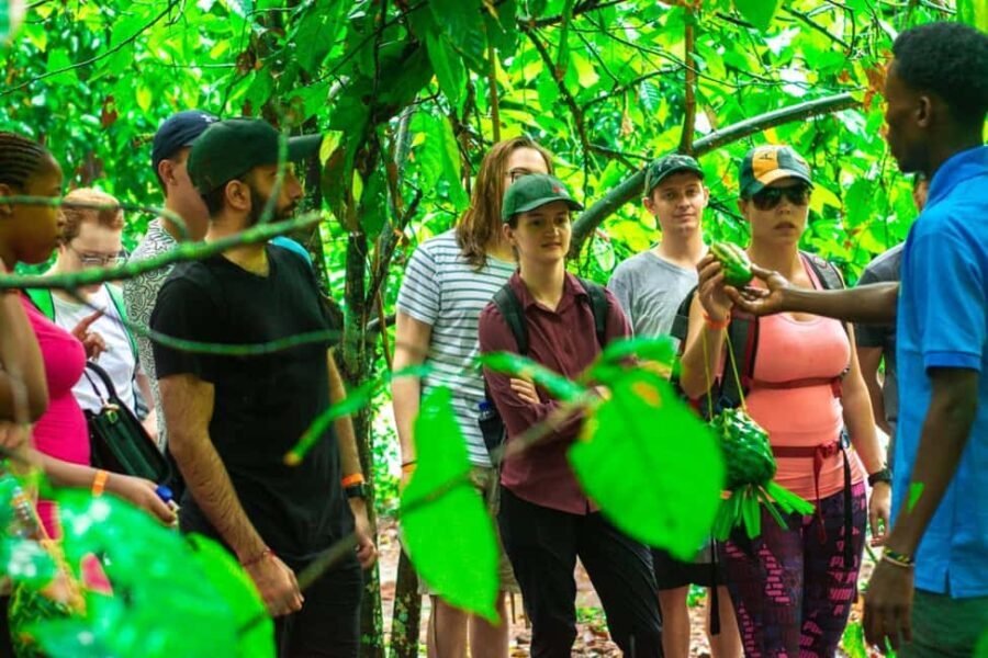 Zanzibar: Spice Farm Tour with Lunch & Tropical Fruits - Final Thoughts: Who Should Consider This Tour?