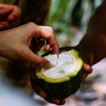 Zanzibar: Spice Farm with Local Guide and Tasting Delights - What the Tour Involves