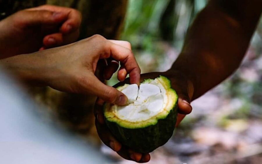 Zanzibar: Spice Farm with Local Guide and Tasting Delights - What the Tour Involves