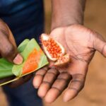 Zanzibar Spice Tour &Cooking Class with Lunch Pickup Include - Is This Tour Worth It?