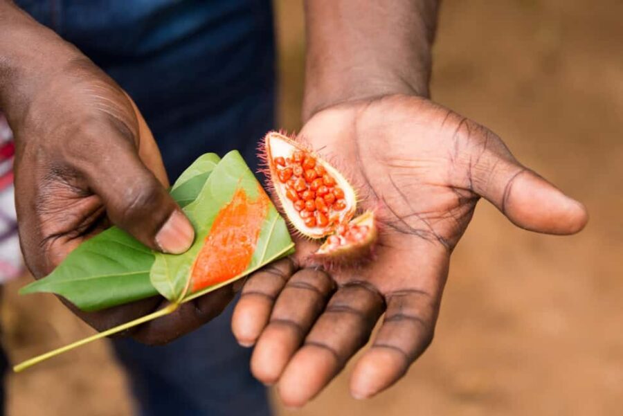 Zanzibar Spice Tour &Cooking Class with Lunch Pickup Include - Is This Tour Worth It?
