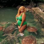 Zanzibar: Stone Town, Burterfly Center and Sea Turtles Tour - Butterfly Center: A Haven of Natural Beauty