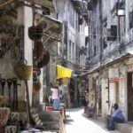 Zanzibar: Stone Town City Tour and Spice Farm with Lunch - Who Will Love This Tour?