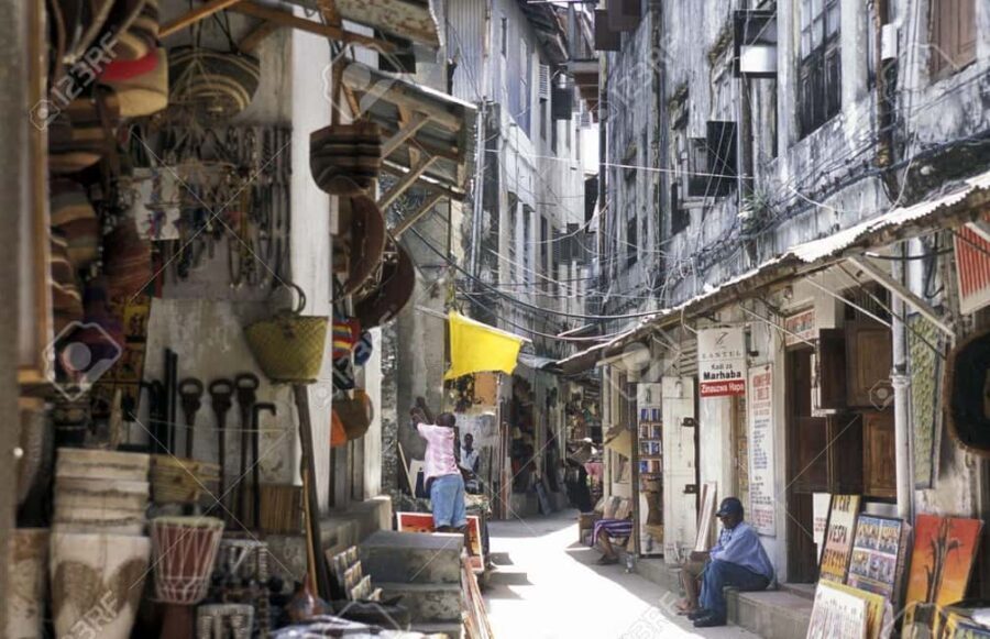 Zanzibar: Stone Town City Tour and Spice Farm with Lunch - Who Will Love This Tour?
