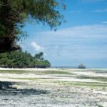 Zanzibar - Stone town city tour - walking tour with guide - Final Thoughts: Is This Tour Right for You?