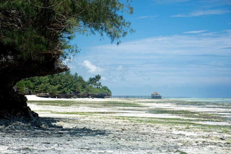Zanzibar - Stone town city tour - walking tour with guide - Final Thoughts: Is This Tour Right for You?
