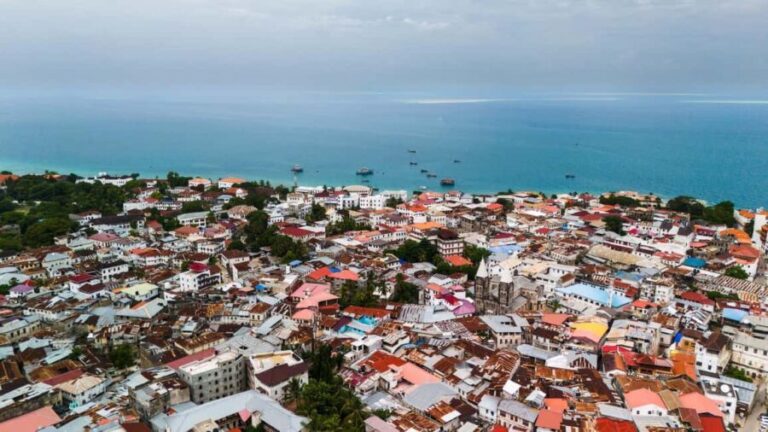 Zanzibar: Stone Town Historical Cultural Walking Guided Tour - The Historical Significance of Stone Town