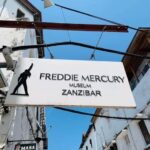 Zanzibar: Stone town Insights & Jozani forest Exploration - Final Thoughts