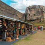 Zanzibar: Stone town, Jozani forest and sweaming with turtle - Encountering Rare Wildlife in Jozani Forest