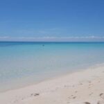 Zanzibar: Stone Town & Prison Island, Nakupenda - The Magic of Nakupenda Beach and Sandbank