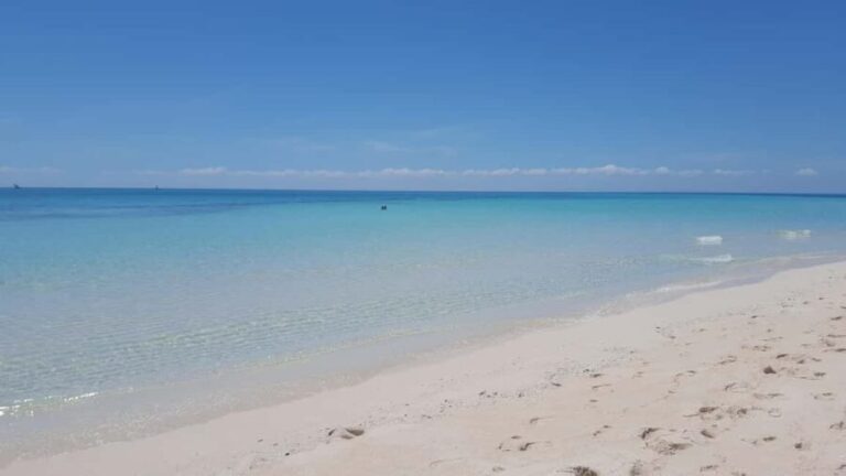 Zanzibar: Stone Town & Prison Island, Nakupenda - The Magic of Nakupenda Beach and Sandbank