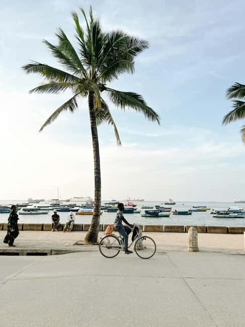 Zanzibar: Stone Town & Prison Island Tour With Tortoises - What You Can Expect: A Well-Balanced Experience