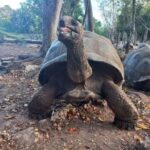 Zanzibar: Stone Town, Spice Farm & Prison Island Adventure - The Value for Money