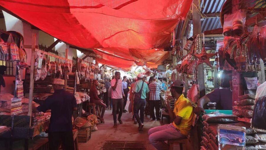 Zanzibar stone town tour - Who Should Take This Tour?